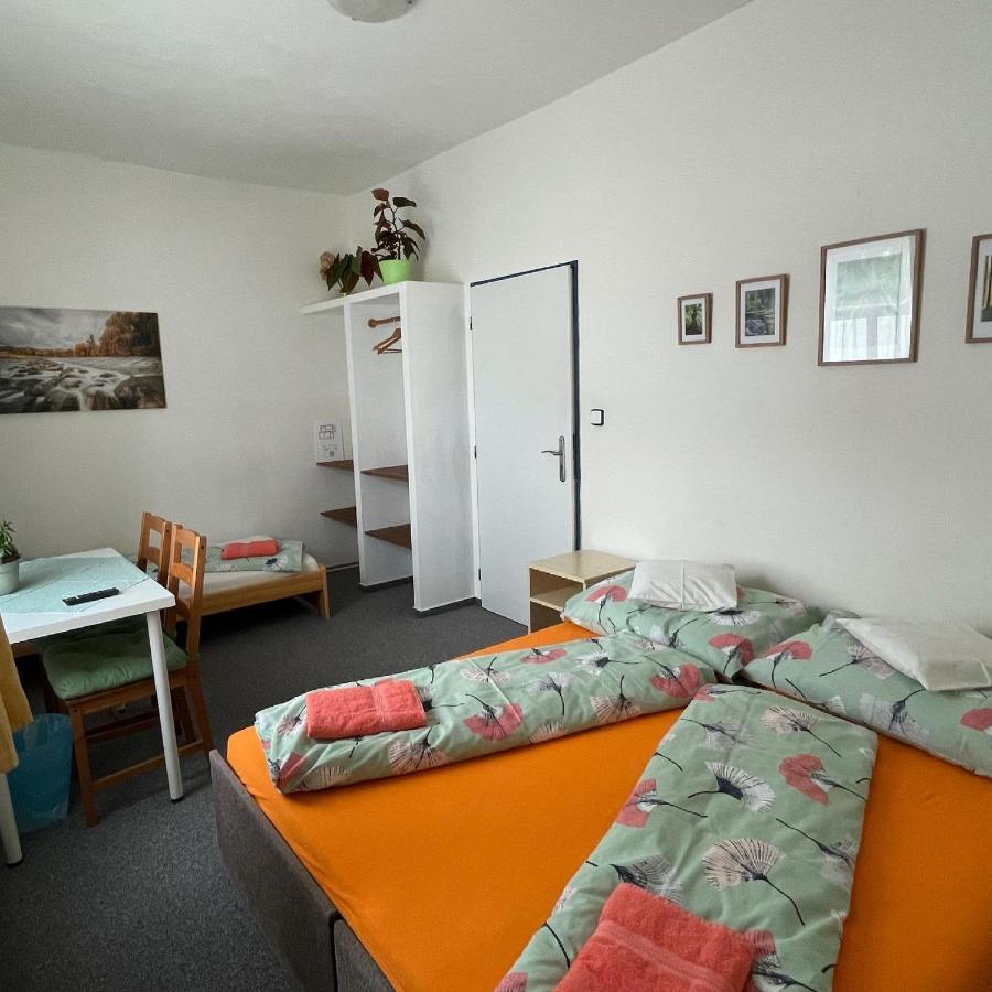 Penzion Slunecnice Dvůr Králové nad Labem المظهر الخارجي الصورة