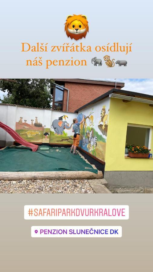Penzion Slunecnice Dvůr Králové nad Labem المظهر الخارجي الصورة