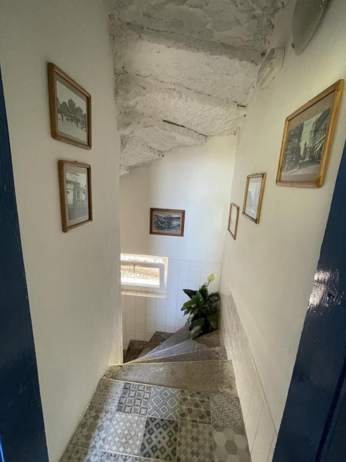 Penzion Slunecnice Dvůr Králové nad Labem المظهر الخارجي الصورة