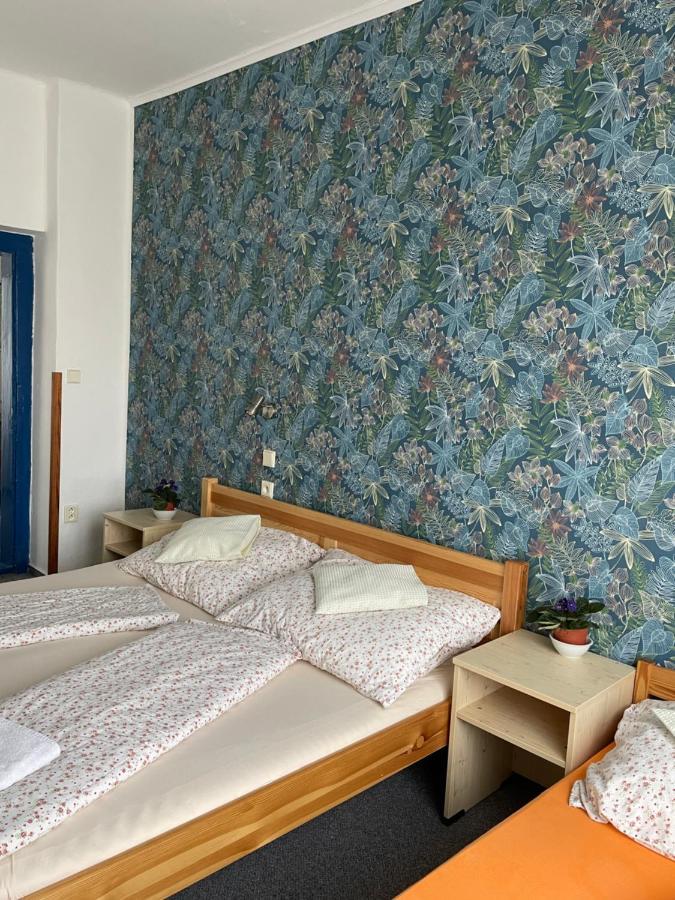 Penzion Slunecnice Dvůr Králové nad Labem المظهر الخارجي الصورة