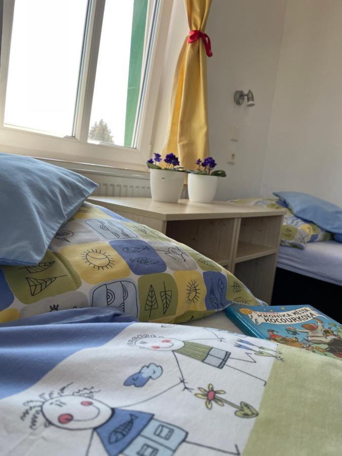 Penzion Slunecnice Dvůr Králové nad Labem المظهر الخارجي الصورة